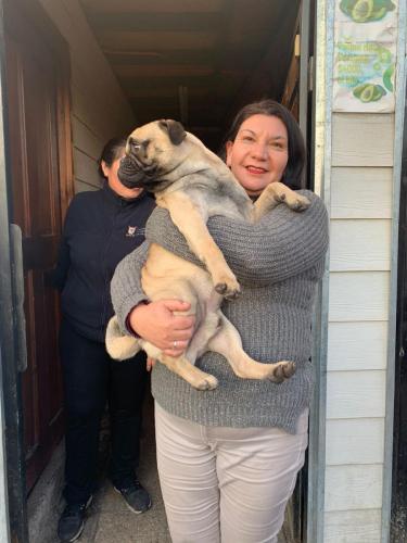 WhatsApp Image 2023-06-13 at 09.43.19