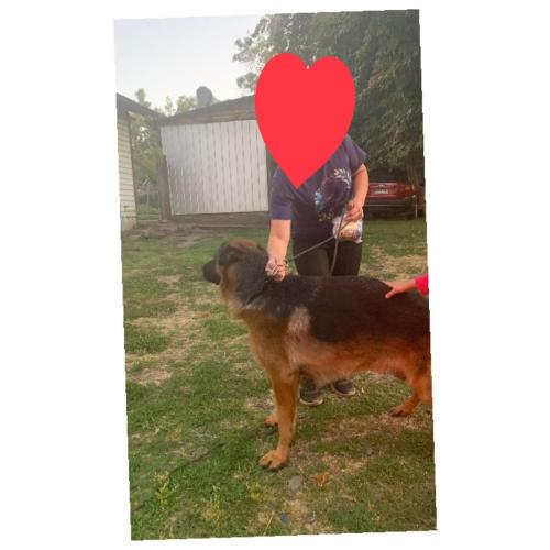 WhatsApp Image 2023-06-13 at 09.43.20