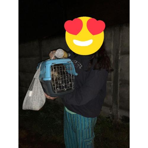 WhatsApp Image 2023-06-13 at 09.43.21