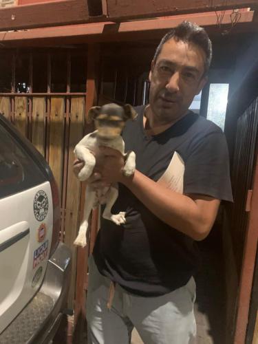 WhatsApp Image 2023-06-13 at 09.43.22 (1)