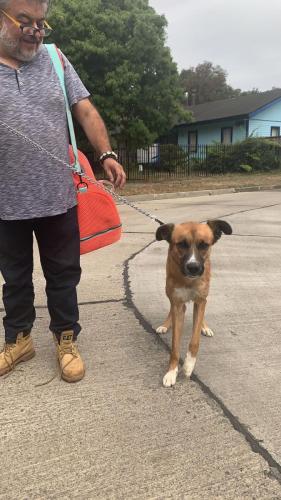 WhatsApp Image 2023-06-13 at 09.43.23