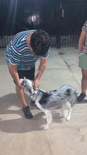 WhatsApp Image 2023-06-13 at 09.43.25